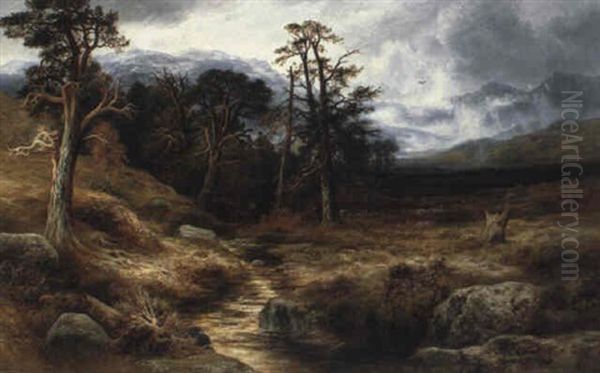 In The Forest Of Ennich Among The Grampians - view 1