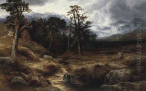In The Forest Of Ennich Among The Grampians In The Forest Of Ennich Among The Grampians
