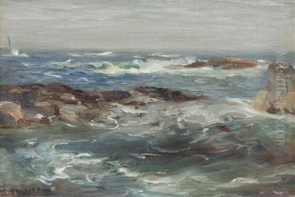 Berwickshire Coast - view 1