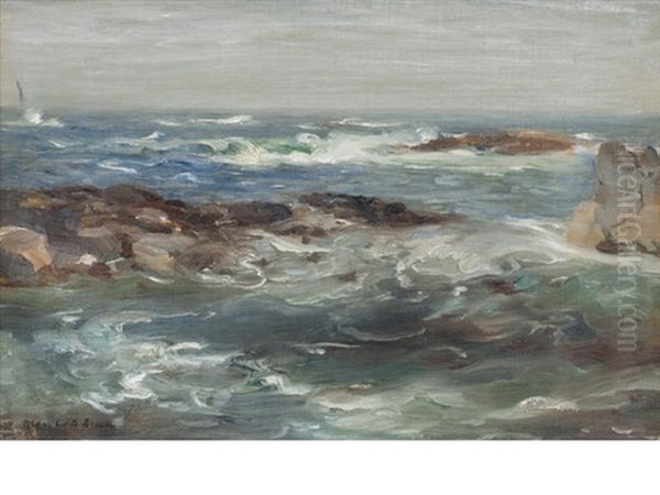 Berwickshire Coast - view 1