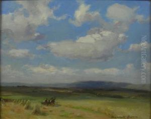 Through The Fields Through The Fields