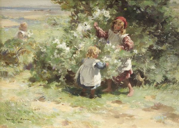 May Blossom - view 1