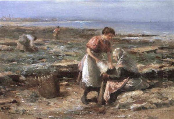 Gathering Whelks - view 1
