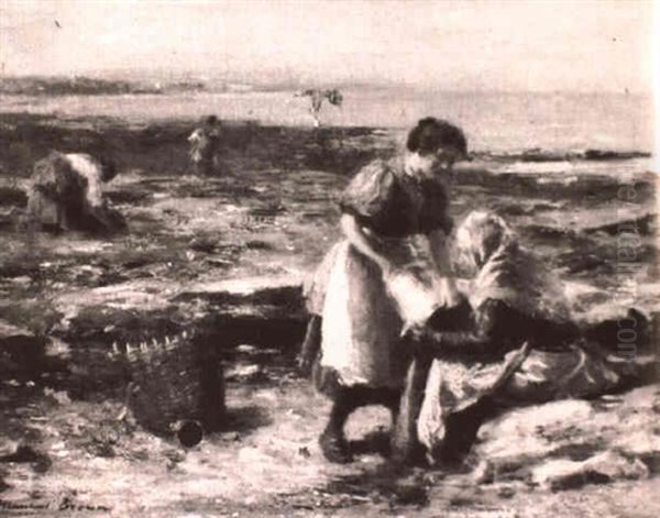 Gathering Whelks - view 1