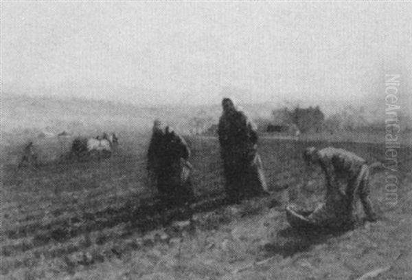 Potato Harvest - view 1