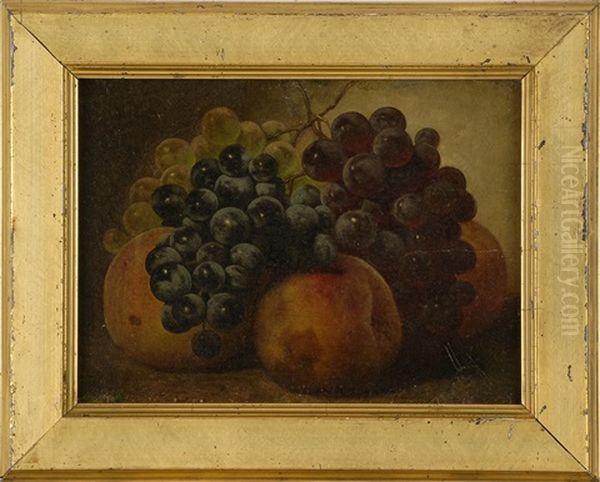 Still Life Of Apples And Grapes - view 1