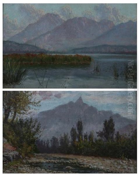 Mountain Lake (+ Stream In The Mountains; 2 Works) - view 1
