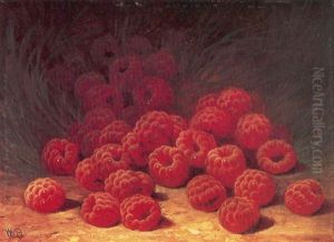 Red Raspberries