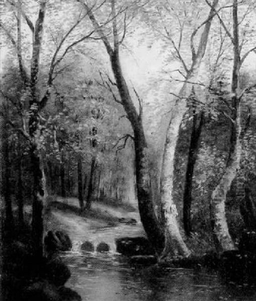 Woodland Scene In Autumn - view 1