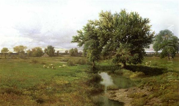 Pasture Stream - view 1