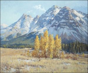 Aspens, October