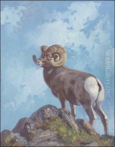 Rocky Mountain Ram