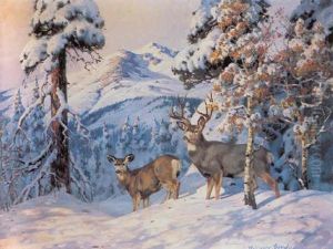 Deer In The High Country by Belmore Browne