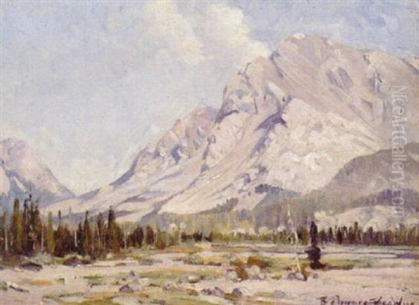 Valley Of The Clearwater River - view 1