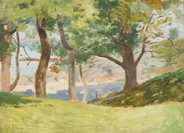 Under The Trees At Cushing Island, Portland Harbor, Maine - view 1
