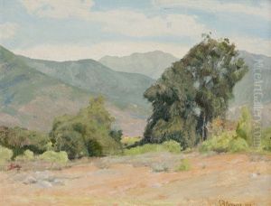 Far Afield, Eucalyptus In A Rolling Hill Landscape by Charles Francis Browne