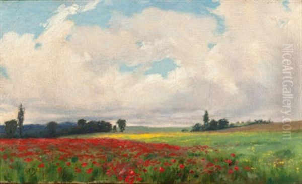 A French Poppy Field - view 1