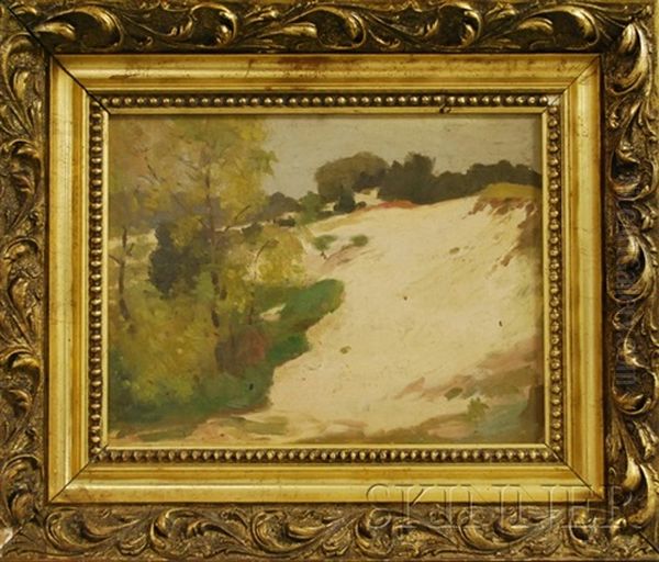Provincetown Dunes - view 1