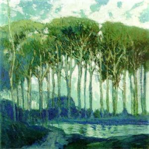 Trees And Pond Trees And Pond