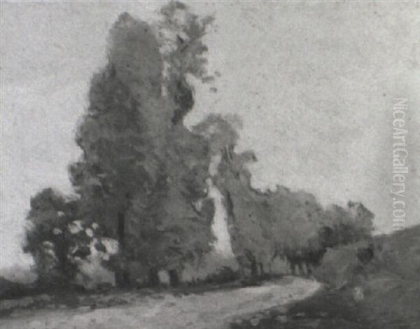 Trees In The Autumn Winds - view 1