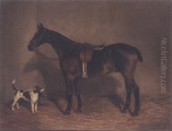 A Saddled Brown Horse - view 1