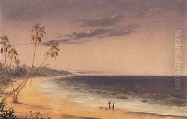 Tropical Paradise - view 1