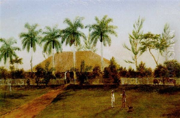 Ingenio Roble - view 1