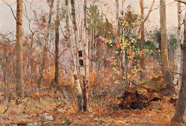 Grouse In A Forest Interior - view 1