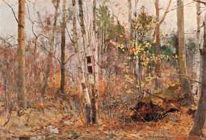 Grouse In A Forest Interior
