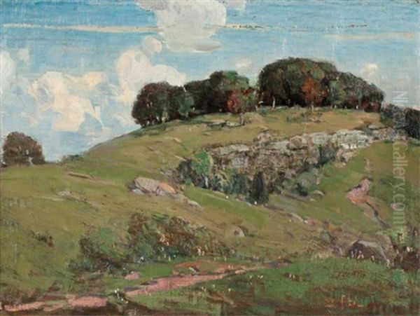 Summer Landscape - view 1