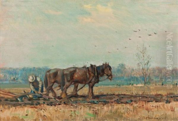 Autumn Tilling - view 1
