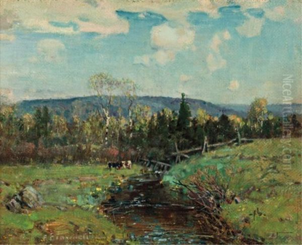 The Meadow Stream - view 1