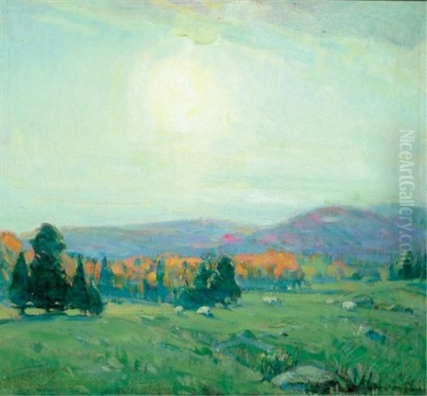 Sheep In Dappled Meadows, Gatineau Country - view 1