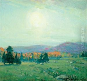 Sheep In Dappled Meadows, Gatineau Country