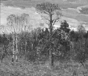 Forest Glade, Autumn Forest Glade, Autumn