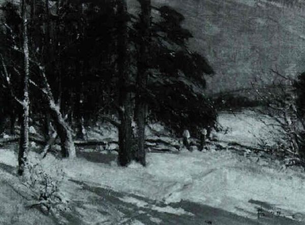 Winter Woods - view 1