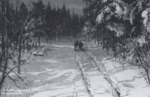 Horse-drawn Sleigh  In A Winter Landscape