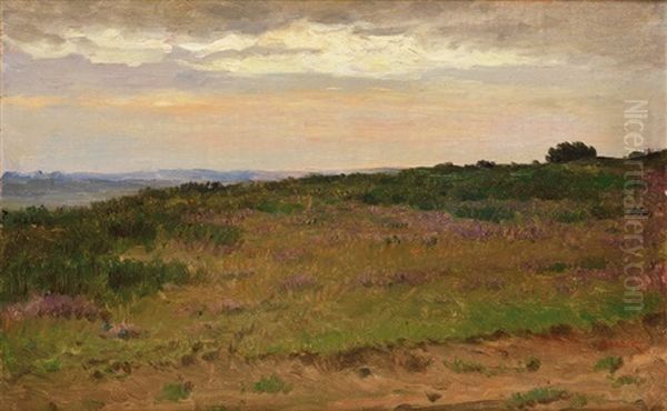Landscape In Normandy - view 1