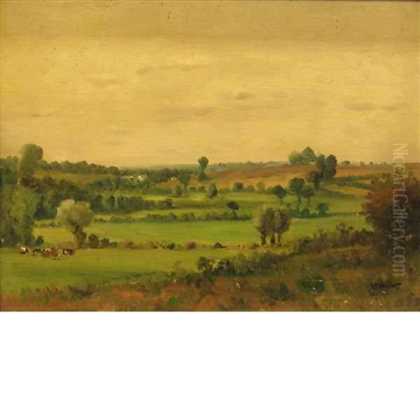 Looking Down From The Hill - view 1