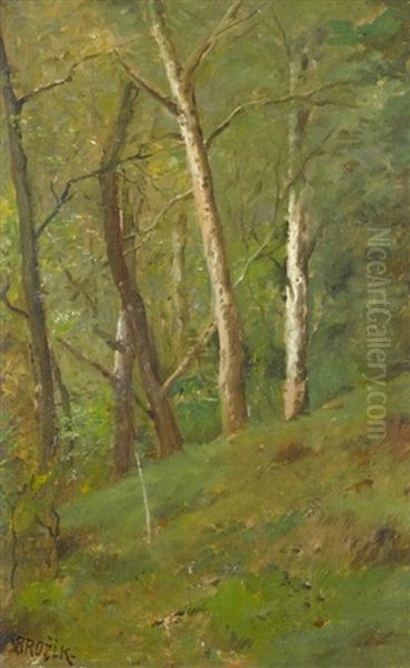 Waldhang Im Sommer - view 1