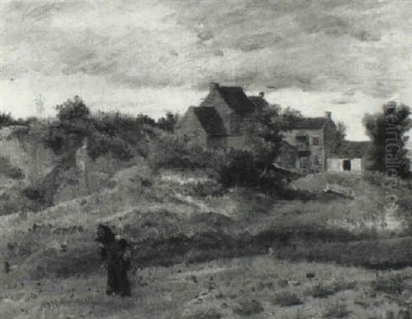 Karottenernte - view 1