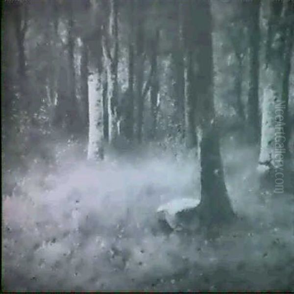 The Birch Forest - view 1