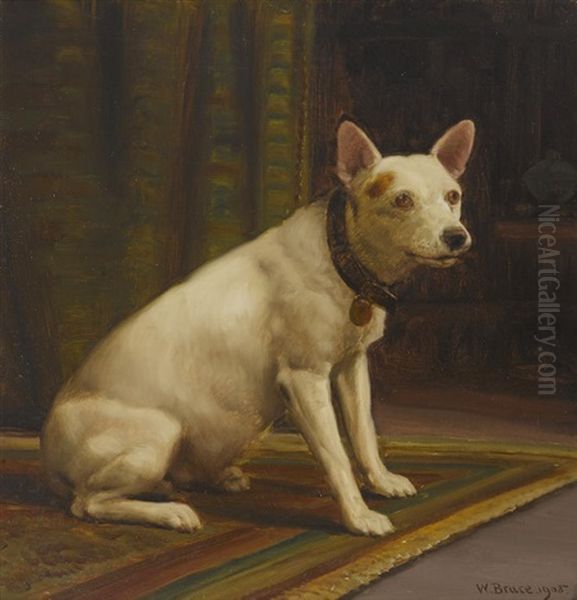 Seated White Terrier - view 1