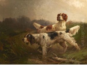 Two Setters Working A Field