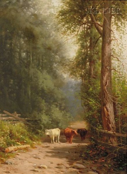Cattle On A Wooded Path - view 1