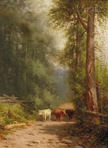 Cattle On A Wooded Path
