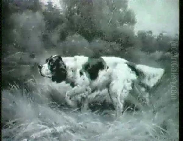 A Spaniel In The Marsh - view 1