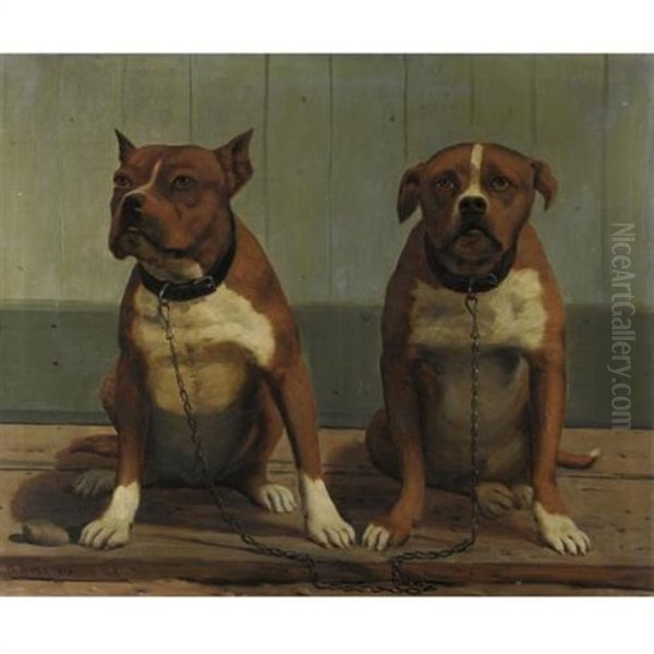 Two English Bulldogs - view 1