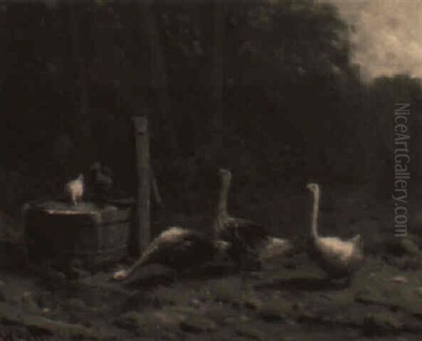 Geese In The Barnyard - view 1