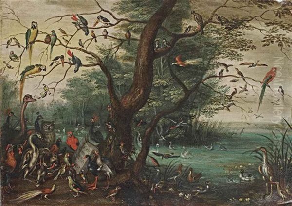 A Concert Of Birds - view 1